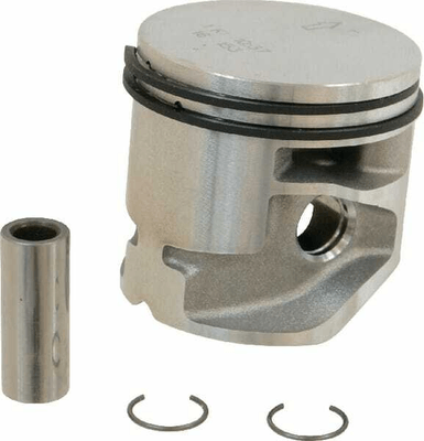 Pièces agricoles - Jardin et forêt pièce origine - Piston