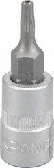 Outils - Outils divers - Douille de tournevis 1/4" Torx TX 10