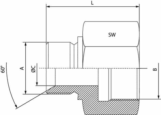 Pièces agricoles - Hydraulique - Adaptateur de rallonge en inox BSP 1/4