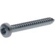 Vis auto perforatrice torx 3,9x38 mm