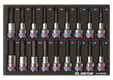 Module mousse + PP 18 pièces douilles 1/2" Torx--6 pans Mâles