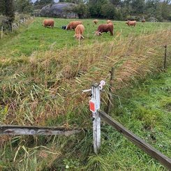 Pièces agricoles - Cloture,Jardin & Sylviculture - FenceAlarm2