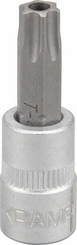 Outils - Outils divers - Douille de tournevis 1/4" Torx TX 40