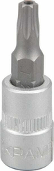 Outils - Outils divers - Douille de tournevis 1/4" Torx TX 25