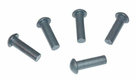 Rivets à tête ronde 5,25x25 mm