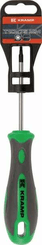 Outils - Outils divers - Tournevis Torx T10 x 75 mm