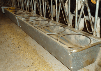 Accessoires et options matériel  - Matériel d'élevage - autre - AUGE METALLIQUE POUR CORNADIS VEAU 8P. (fin de vie)