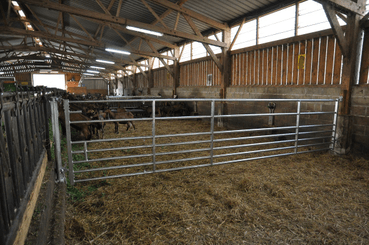 Materiels - Cage de contention - PACK DE 14 PORTES 7 LISSES PETIT BETAIL L.5/6M EMBOITEE