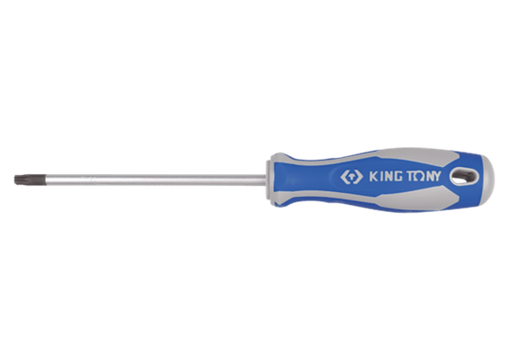 Outils - Outils divers - Tournevis Torx Tamper T25 longuer 100mm