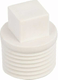 Bouchon en PVC 1/2" pour WE 250N