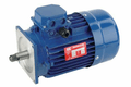 Moteur électrique 0.75 kW 1 000 t/min 400 V