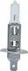 Ampoule 12V 55W H1