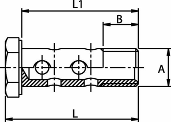 Pièces agricoles - Hydraulique - Boulon creux double M 16
