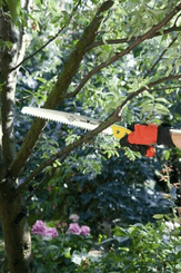 Pièces agricoles - Cloture,Jardin & Sylviculture - Scie