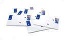 Plaques d'immatriculation aluminium PPI pré-percées - SIV 210x130 département 67 - 10 pièces