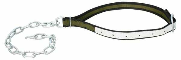 Pièces agricoles - Cloture,Jardin & Sylviculture - Collier avec chaîne pour bétail, 100 cm