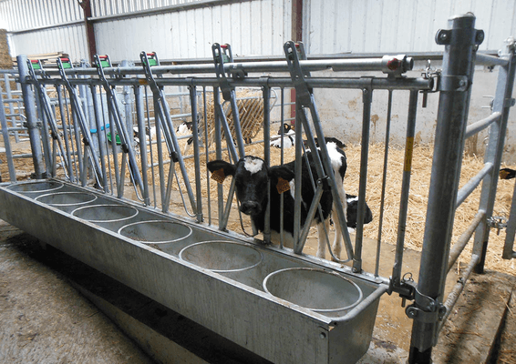 Materiels - Accessoires 30Kg-50Kg - AUGE METALLIQUE POUR CORNADIS VEAU 6P.