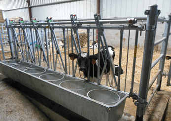 Materiels - Accessoires 30Kg-50Kg - AUGE METALLIQUE POUR CORNADIS VEAU 6P.
