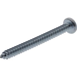 Pièces agricoles - Fasteners - Vis auto perforatrice torx 4,2x50 mm