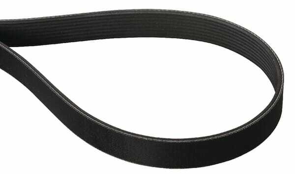 Pièces agricoles - Jardin et forêt pièce origine - Courroie Poly 8PJ 1285Lp
