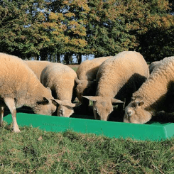 Pièces agricoles - Cloture,Jardin & Sylviculture - Mangeoire 1m
