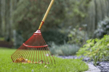 Pièces agricoles - Cloture,Jardin & Sylviculture - Balai à dents rond