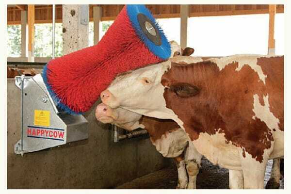 Pièces agricoles - Cloture,Jardin & Sylviculture - Brosse à vache Happycow PP