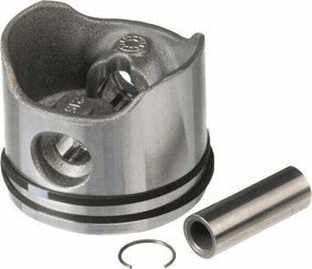 Pièces agricoles - Jardin et forêt pièce origine - Piston