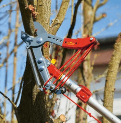 Pièces agricoles - Cloture,Jardin & Sylviculture - Echenilloir orientable, coupe enclume 40mm