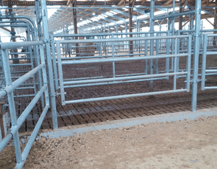 Materiels - Cage de contention - PACK DE 12 ARRIERES EX4 3/4M L.2.50M