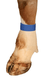 Bracelets velcro bleu (x10)
