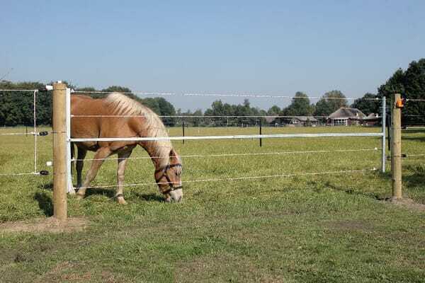 Pièces agricoles - Cloture,Jardin & Sylviculture - Porte électrifiée