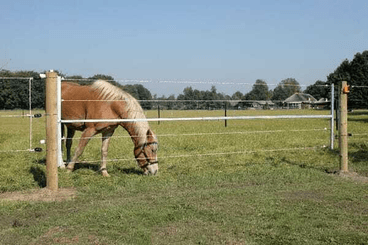 Pièces agricoles - Cloture,Jardin & Sylviculture - Porte électrifiée