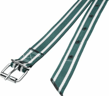 Pièces agricoles - Cloture,Jardin & Sylviculture - Collier 130x4 cm vert/blanc