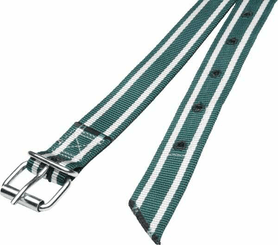 Pièces agricoles - Cloture,Jardin & Sylviculture - Collier 130x4 cm vert/blanc