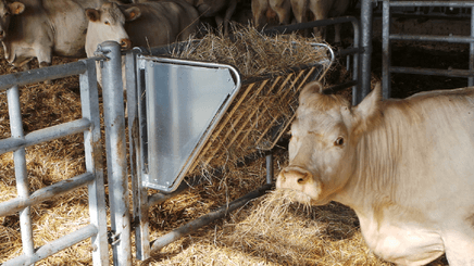 Materiels - Râtelier - RATELIER MODULABLE VACHE L.1M