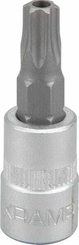 Outils - Outils divers - Douille de tournevis 1/4" Torx TX 30