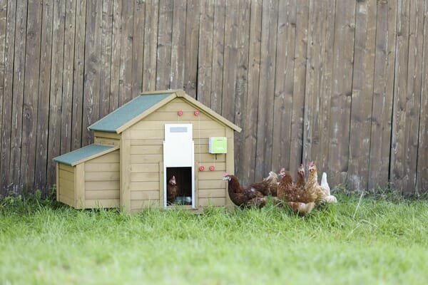 Pièces agricoles - Cloture,Jardin & Sylviculture - Auto Porte pour volaille w. Porte coulissante 300x400 mm
