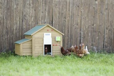 Pièces agricoles - Cloture,Jardin & Sylviculture - Auto Porte pour volaille w. Porte coulissante 300x400 mm