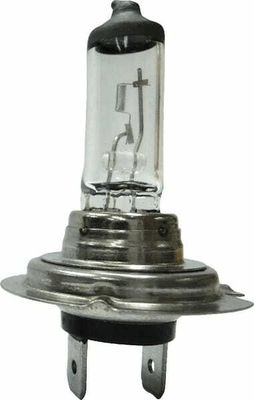Pièces agricoles - Eclairage - Ampoule 24V 70W H7