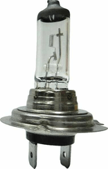 Pièces agricoles - Eclairage - Ampoule 24V 70W H7