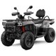 TERROX 550 Long EPS ABS