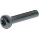 Vis à tête cylindrique 3x16 torx DIN7985