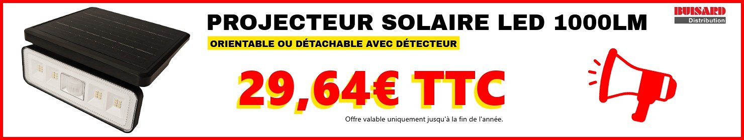 Projecteur solaire BUISARD