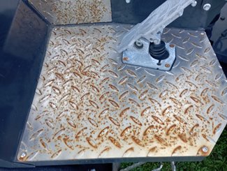 Valet de ferme Riquet HR220 - 11