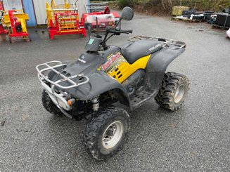Quad Polaris TRAILBOSS330E - 3