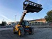 chariot télescopique agricole Dieci AGRIPLUS 40.7VS