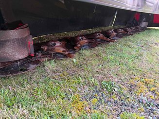 Faucheuse Vicon EXTRA436H - 4